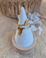 490989223_3932484747017213_421236372742060733_n