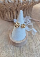 491275720_1815775049265391_1257256944628442925_n