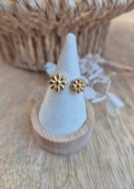 491275720_1815775049265391_1257256944628442925_n