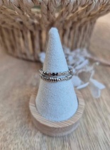 490988967_3548444542118174_3927245397531560414_n