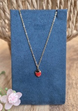 490986873_979342401059949_3753979319196650498_n